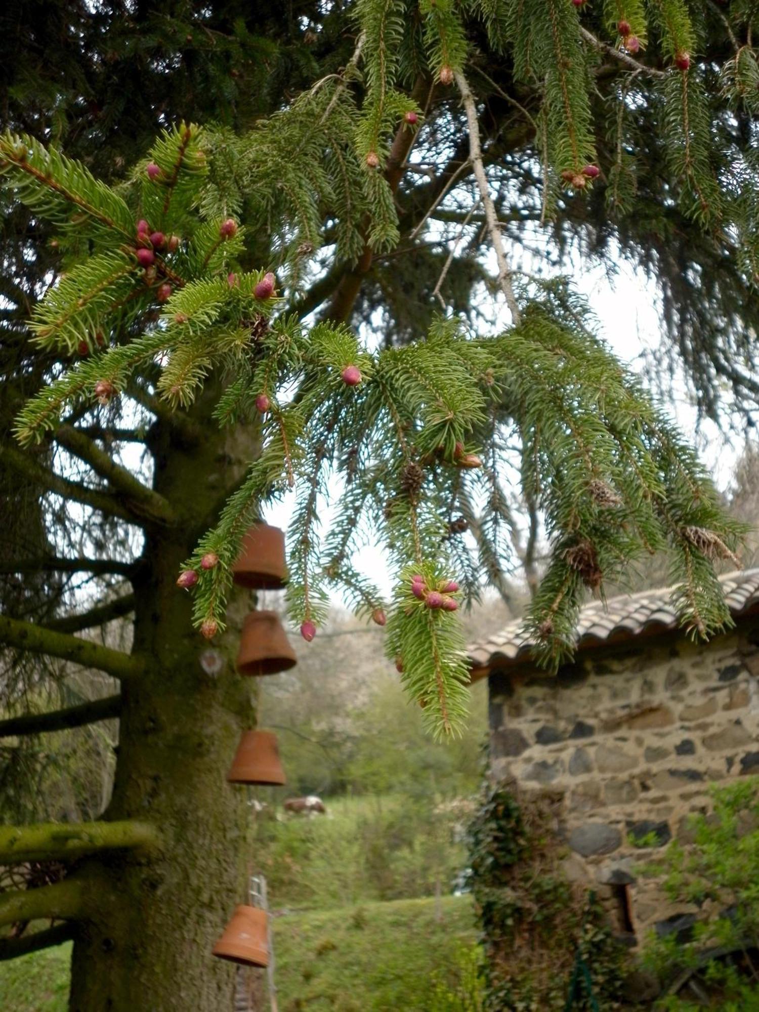 Maison D'Hotes De La Verriere Les Ardillats Екстериор снимка